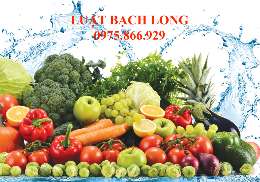 Quy trình xin giấy phép an toàn vệ sinh thực phẩm